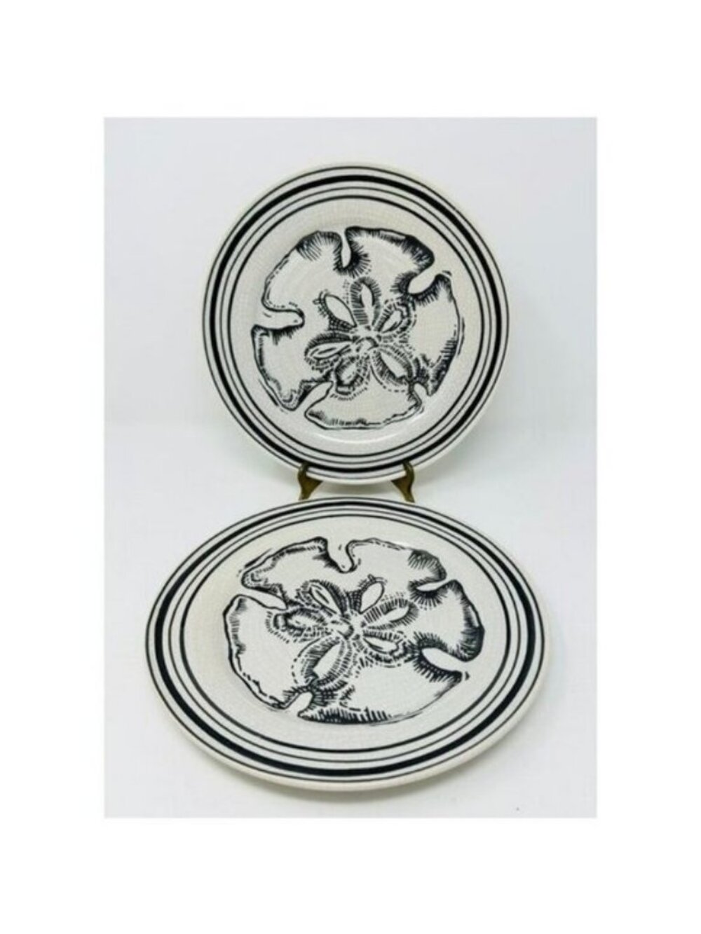 POTTERY BARN SAND DOLLAR Dinner Luncheon Plates Set of 2 ~Beach Coastal Nautical